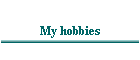 My hobbies